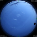 1593275021.jpg
