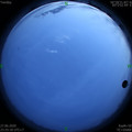 1593275156.jpg