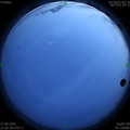 1593275216.jpg