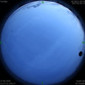 1593275276.jpg