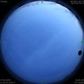 1593275456.jpg