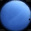 1593275516.jpg
