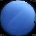 1593275817.jpg