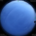 1593276432.jpg