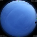 1593276492.jpg