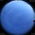 1593276627.jpg