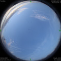 1593295641.jpg