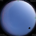 1593358672.jpg