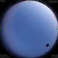 1593358732.jpg