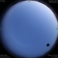 1593359033.jpg