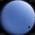 1593359153.jpg
