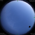 1593359768.jpg