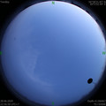 1593359828.jpg