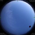 1593360068.jpg
