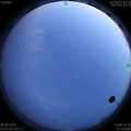 1593360128.jpg
