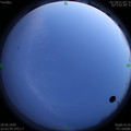 1593360248.jpg