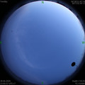 1593360368.jpg