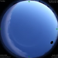 1593361584.jpg