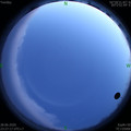 1593361659.jpg