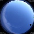 1593361839.jpg