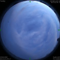 1593365021.jpg