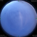 1593370964.jpg