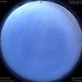 1593371684.jpg