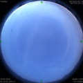 1593371804.jpg