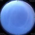 1593371864.jpg