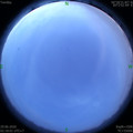1593371924.jpg