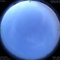 1593371984.jpg