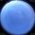 1593372254.jpg