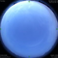 1593372434.jpg
