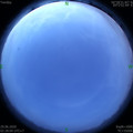 1593372524.jpg