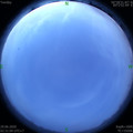 1593372704.jpg