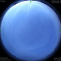 1593373125.jpg