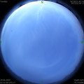 1593373305.jpg