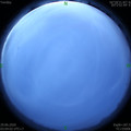 1593374670.jpg