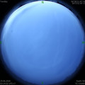 1593375871.jpg