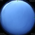 1593376006.jpg