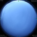 1593376246.jpg