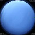 1593376441.jpg