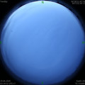 1593376516.jpg
