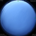 1593376576.jpg