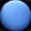 1593376636.jpg