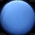 1593376696.jpg