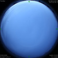 1593376756.jpg