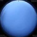 1593376936.jpg