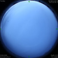 1593376996.jpg
