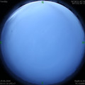 1593377492.jpg